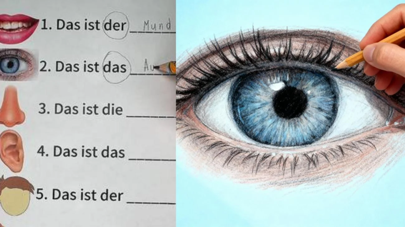 deutsch lernen!! #quizz #deutschlernen #deutsch #allgemeinwissen #deutschesprache"